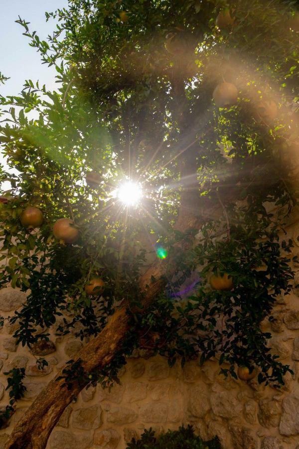 Yesil Ev Cafe & Boutique Hotel Χατάι Εξωτερικό φωτογραφία